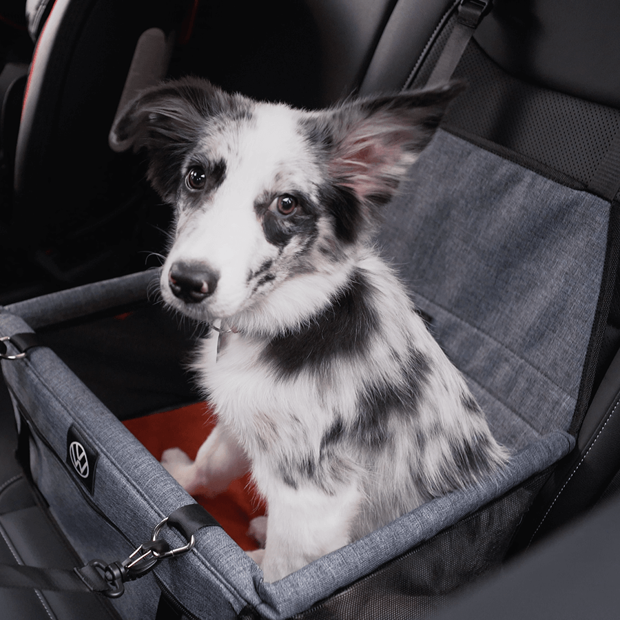 Cesto Pet de Transporte